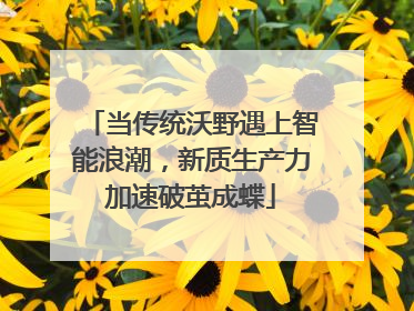 当传统沃野遇上智能浪潮，新质生产力加速破茧成蝶