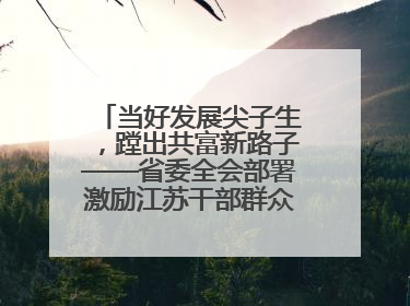 当好发展尖子生，蹚出共富新路子——省委全会部署激励江苏干部群众促进全体人民共同富裕