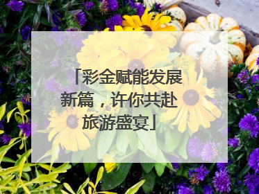 彩金赋能发展新篇，许你共赴旅游盛宴