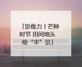 影像力丨芒种时节 田间地头绘“丰”景