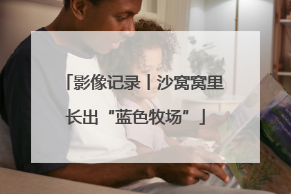 影像记录丨沙窝窝里长出“蓝色牧场”