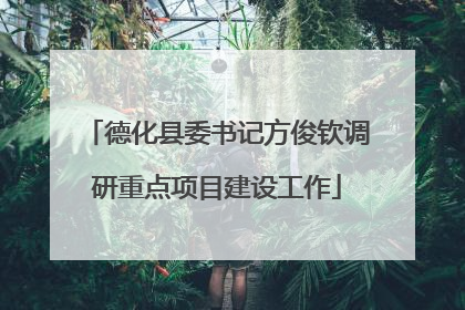 德化县委书记方俊钦调研重点项目建设工作