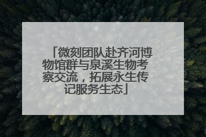 微刻团队赴齐河博物馆群与泉溪生物考察交流，拓展永生传记服务生态