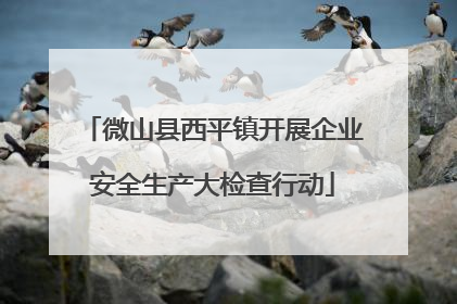 微山县西平镇开展企业安全生产大检查行动