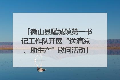 微山县驩城镇第一书记工作队开展“送清凉、助生产”慰问活动