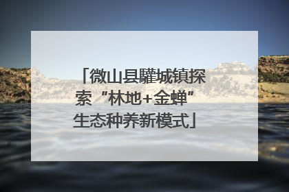 微山县驩城镇探索“林地+金蝉”生态种养新模式