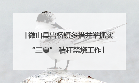 微山县鲁桥镇多措并举抓实 “三夏” 秸秆禁烧工作
