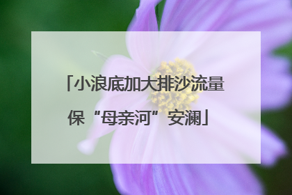 小浪底加大排沙流量 保“母亲河”安澜