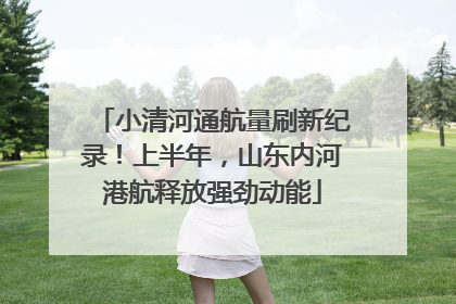 小清河通航量刷新纪录！上半年，山东内河港航释放强劲动能