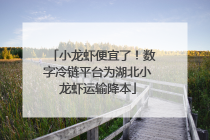 小龙虾便宜了！数字冷链平台为湖北小龙虾运输降本