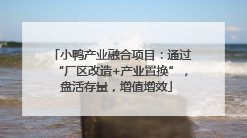 小鸭产业融合项目：通过“厂区改造+产业置换”，盘活存量，增值增效