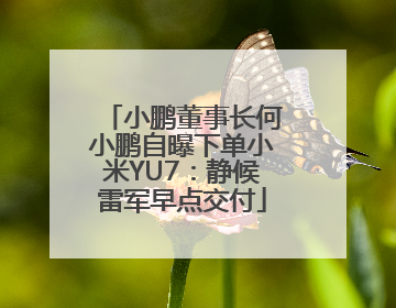 小鹏董事长何小鹏自曝下单小米YU7：静候雷军早点交付