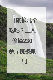 就摘几个吃吃？三人偷摘230余斤桃被抓！