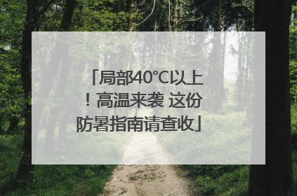局部40℃以上！高温来袭 这份防暑指南请查收