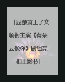 屈楚萧王子文领衔主演《有朵云像你》剧组亮相上影节