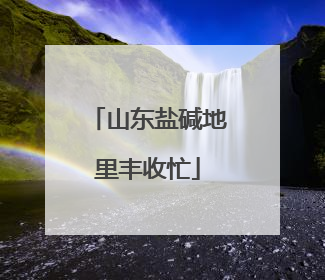山东盐碱地里丰收忙