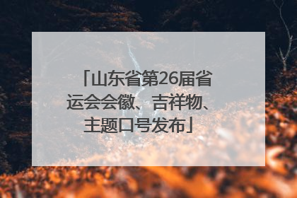 山东省第26届省运会会徽、吉祥物、主题口号发布
