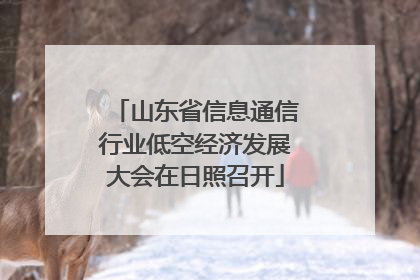山东省信息通信行业低空经济发展大会在日照召开