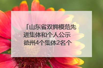 山东省双拥模范先进集体和个人公示 德州4个集体2名个人拟受表彰