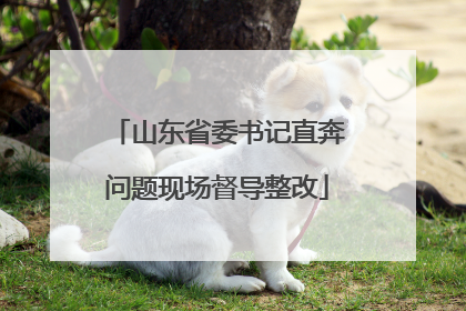 山东省委书记直奔问题现场督导整改