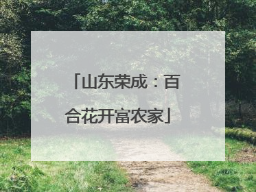 山东荣成：百合花开富农家