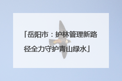 岳阳市：护林管理新路径全力守护青山绿水
