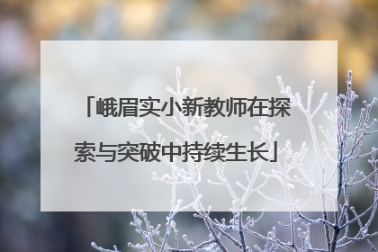 峨眉实小新教师在探索与突破中持续生长