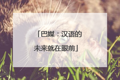 巴媒：汉语的未来就在眼前