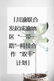 川渝联合发起成渝地区“一带一路”科技合作“双千”计划