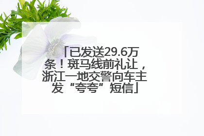 已发送29.6万条！斑马线前礼让，浙江一地交警向车主发“夸夸”短信