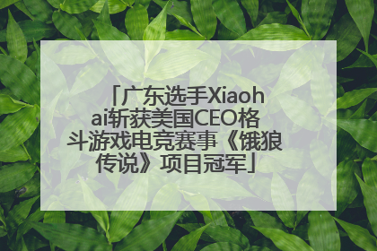 广东选手Xiaohai斩获美国CEO格斗游戏电竞赛事《饿狼传说》项目冠军