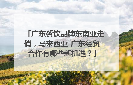 广东餐饮品牌东南亚走俏，马来西亚-广东经贸合作有哪些新机遇？