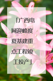 广西电网迎峰度夏基建重点工程竣工投产