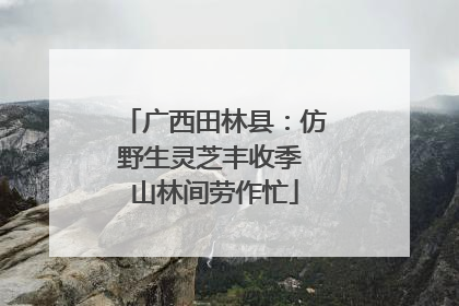 广西田林县：仿野生灵芝丰收季 山林间劳作忙
