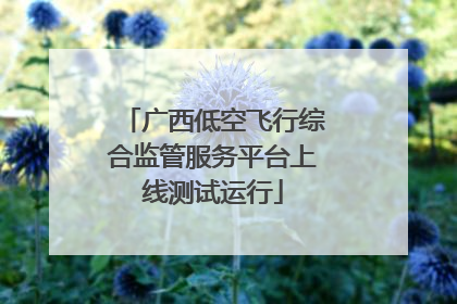 广西低空飞行综合监管服务平台上线测试运行