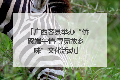 广西容县举办“侨聚端午情·寻觅故乡味”文化活动