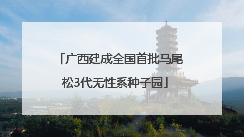 广西建成全国首批马尾松3代无性系种子园