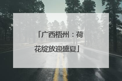广西梧州：荷花绽放迎盛夏