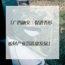 广西融安：促进香杉板材产业高质量发展