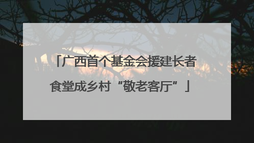广西首个基金会援建长者食堂成乡村“敬老客厅”