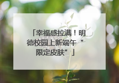 幸福感拉满！明德校园上新端午“限定皮肤”