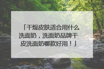 干燥皮肤适合用什么洗面奶，洗面奶品牌干皮洗面奶哪款好用！