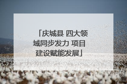 庆城县 四大领域同步发力 项目建设赋能发展