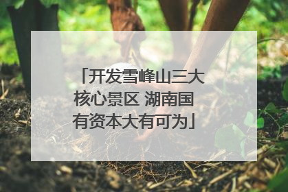 开发雪峰山三大核心景区 湖南国有资本大有可为