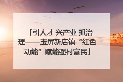 引人才 兴产业 抓治理——玉屏新店镇“红色动能”赋能强村富民