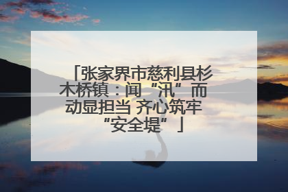 张家界市慈利县杉木桥镇：闻“汛”而动显担当 齐心筑牢“安全堤”