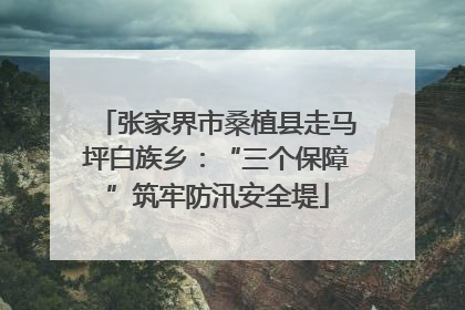 张家界市桑植县走马坪白族乡：“三个保障”筑牢防汛安全堤