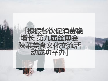 提振餐饮促消费稳增长 第九届丝博会陕菜美食文化交流活动成功举办