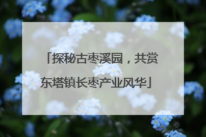 探秘古枣溪园，共赏东塔镇长枣产业风华