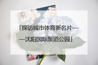 探访城市体育新名片——沈阳国际泵道公园